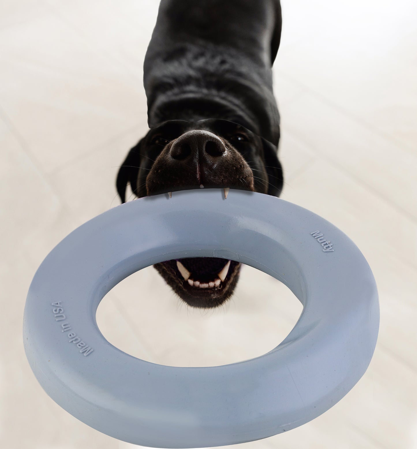 Mutty Dog Chew Ring - Made in USA Dog Toys for Chewers - One Meal Donated to Shelters per Toy